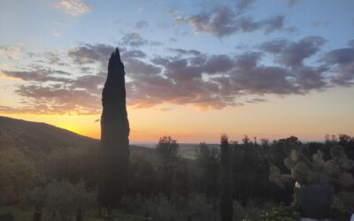 Rolling Hills and Tuscan Treats